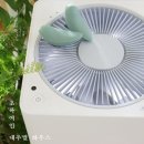 호환 필터 살생물제 MIT 검출, 발뮤다 공기청정기 필터 교체