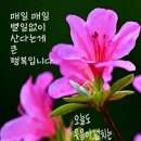 기분좋은날 네이버블로그