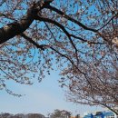 월포초등학교 이미지