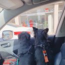 태담이네 하우스 이미지