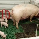 더불어농장 이미지