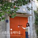 신흥2리(동백마을)농촌체험휴양마을 | 제주 동백꽃 명소 신흥리 동백마을 숲