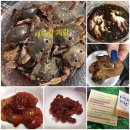 마시가이따 | 새우랑 게랑 여수게장 맛집 새우장 낙지젓 택배주문 내돈내산후기
