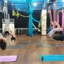 경기도 수원시 팔달구 권광로 278 (인계동) 이미지