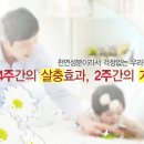 수나투어