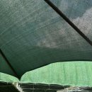 애견운동공원(동절기) | [울산 대형견 운동장] 부산근교 울산 대형견 운동장, 대형견 소형견 분리 운동장 울산 애견운동공원 후기