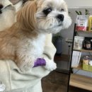 광주다온동물병원 이미지