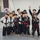 강철체육관(태권도) 이미지