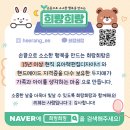 튼튼아이태권도 | 귀여움+실용성 완벽! 희랑희랑 태권도 도복 키링 솔직 후기 및 구매 꿀팁