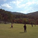 용인자연휴양림 이미지