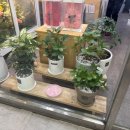 발산역 6번출구 이미지