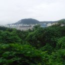 감박산농장 티스토리