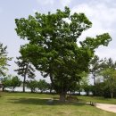 솟대광장 화장실 이미지