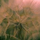 금융사기로부터 우리 돈 지키기 이미지