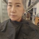 DITTO헤어(디토헤어)