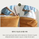 장미세탁 | 패브릭소파 추천 장미맨숀 &#39;클로이소파&#39; : 오렌지(1인+3인+코너)