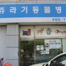 아리동물병원
