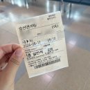 울릉도 가족 여행｜씨플라워호로 독도 입도 성공 후기