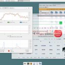 알파비디오 이미지