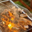 비비오토캠프 이미지