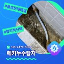 61 | 구로구 누수탐지 주택에서 발생한 누수 해결드린 시공 후기