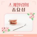 카이스트용치과의원 이미지