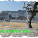 웅남초등학교 이미지