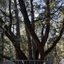 [옥정]하오 여행중국어 | [중국 베이징] 만리장성 명 13릉 이화원 | 노랑풍선 패키지 내돈내산 여행 후기