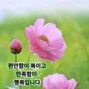 우아하게