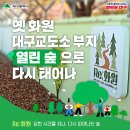 🌳’열린 숲’으로 다시 피어난 옛 대구교도소 이미지