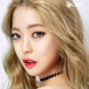 오렌즈 Daum카페