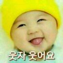 배불뚜기 이미지
