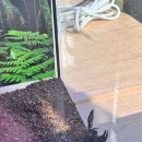 여주곤충박물관 이미지