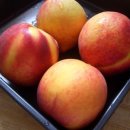 농선농장 이미지