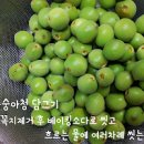 복숭아청 복숭아주스 복숭아조림 만드는법 이미지