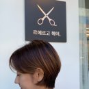 르에르고 이미지