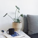 유럽농장 이미지