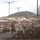 (주)씨포스트제주