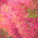 어느가을 오후 이미지