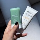 데일리허브 | 자외선 차단 제품 추천 미구하라 하이드로-켈프 선스크린& 데일리 허브 선스틱 사용후기