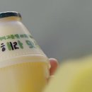 바나나우유 이미지