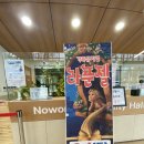 중계동평생학습관 | 하계 노원구민의전당 # 어린이 뮤지컬 라푼젤 6살 관람 후기! 명당 좌석 자리 공유