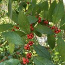 모두 함께 예배하기/11월9일 주일설교 이미지