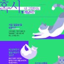 개냥이 세계 이미지