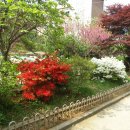 서곶초등학교 이미지