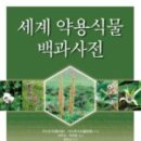 동양약용식물 이미지