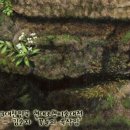 미술홈패션 Daum카페
