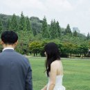 글로리음악교습소 맞은편 | 26년 7월 4주/ 힘을내자, 슈퍼 파월~