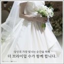 더브라이덜수 - 안산시 단원구 광덕4로 256 | 더브라이덜수