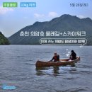 주식회사 펫츠고트래블 이미지